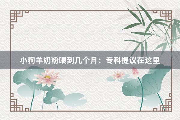 小狗羊奶粉喂到几个月：专科提议在这里